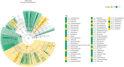 Ecotoxicological impacts of cadmium on soil microorganisms and earthworms Eisenia foetida: from gene regulation to physiological processes